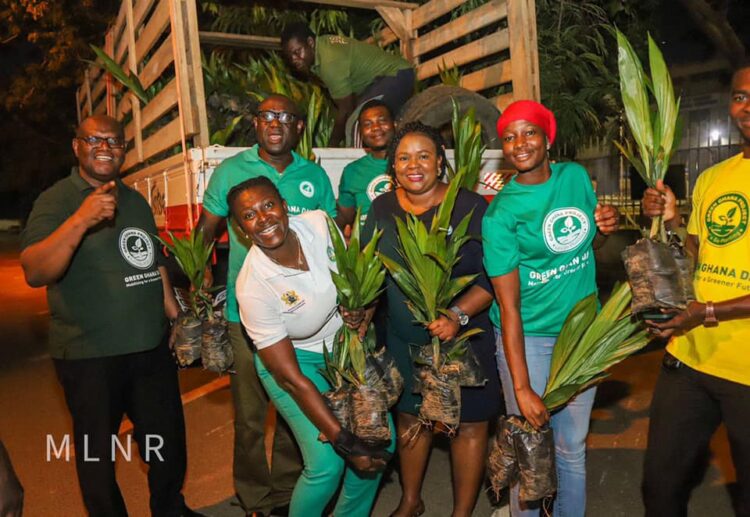Green Ghana Project: Lands Ministry distributes 500,000 Oil Palm seedlings