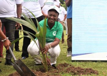 Deputy Minister for Communications and Digitalisation leads Ministry to plant trees
