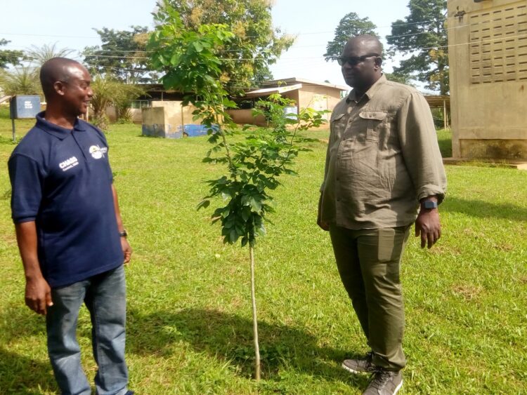 Green Ghana Day: Kwahu is the best place to enjoy good weather in Ghana – Mpraeso MP