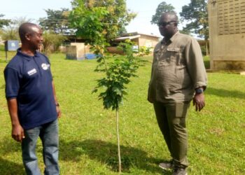 Green Ghana Day: Kwahu is the best place to enjoy good weather in Ghana – Mpraeso MP