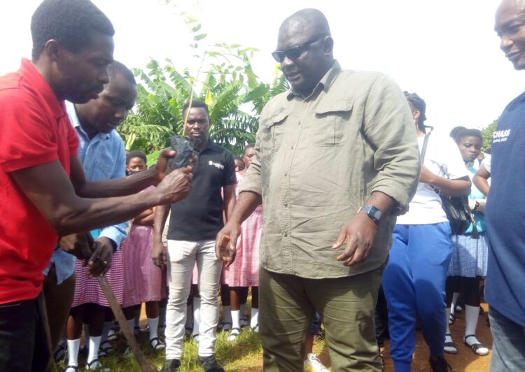 Green Ghana Day: It’s critical we grow more trees – Mpraeso MP
