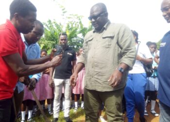 Green Ghana Day: It’s critical we grow more trees – Mpraeso MP