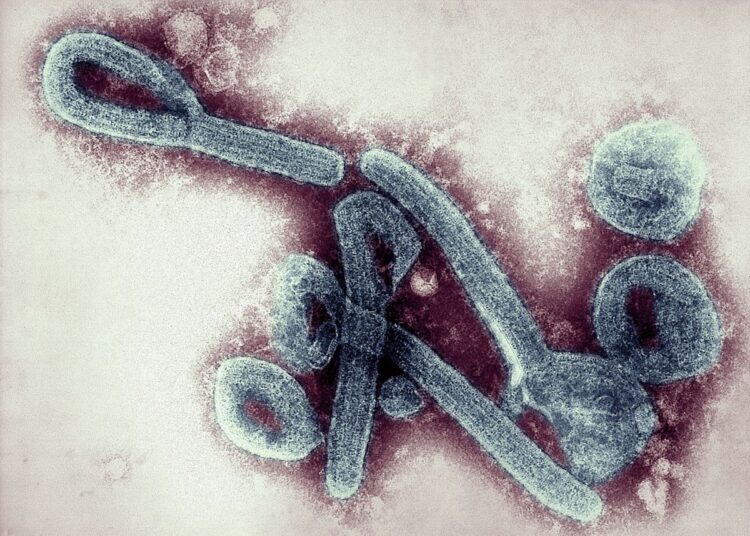 A/R: GHS confirms Marburg in 26 and 51-year-old farmers