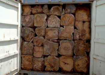 Gambia bans all timber exports to combat rosewood smuggling