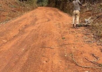 Construction on Bepong-Ntomem road will begin July ending – Kwahu South MCE