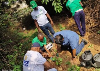 Rotary clubs of Accra-Industrial, Accra Premier-International embark on Tree Planting Exercise
