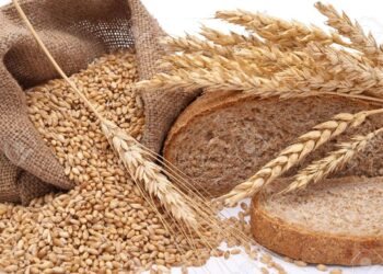 Importers and Exporters raise alarm over influx of harmful wheat in Ghana