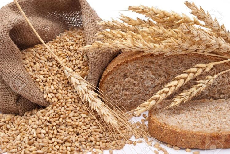 Importers and Exporters raise alarm over influx of harmful wheat in Ghana