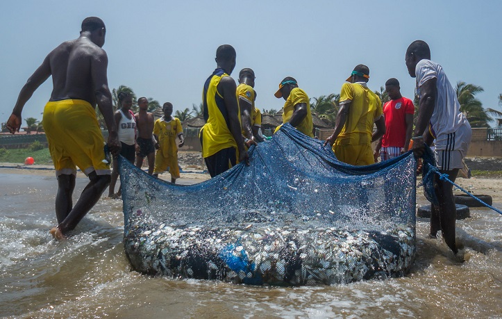 Fisheries Minister vows to clamp down on illegal fishing