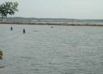 Mother and her 3 children drown in Keta Lagoon