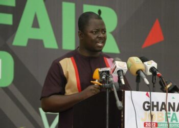 Youth are denied employment due to lack of suitable skills – YEA CEO