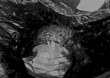 C/R: Wife serves husband faeces for supper over failure to provide “chop money”