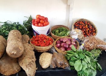 Food records lowest inflation rate for September – GSS