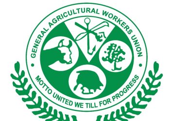 Agriculture issues may be overlooked in the 2023 budget – GAWU