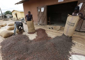 W/R: Suaman DCE goes berserk over Cocoa smuggling to Ivory Coast