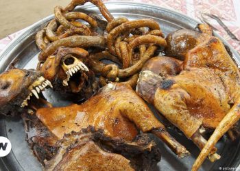 S/R: Court convicts 2 for preparing pepper soup with stolen dog