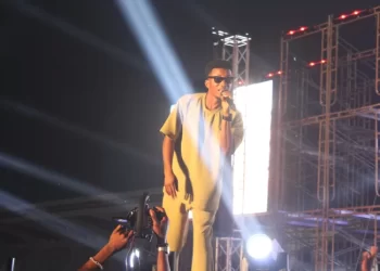 Stonebwoy, Kofi Kinaata, others thrill fans at Taste of Ghana festival