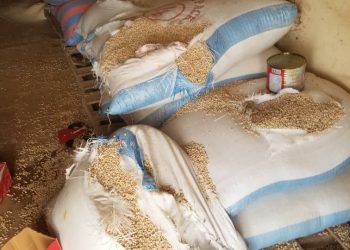 A/R: 40 SHS students arrested for destroying school properties