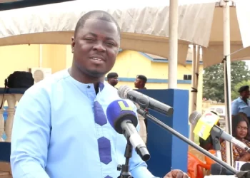 We’ve created 17k jobs within 4 months – YEA CEO