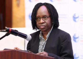 Kenyan looters should invest locally – official