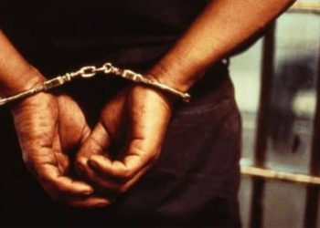 Top Kings land guards nabbed