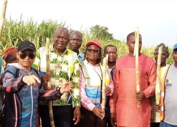 Chinese investors to build sugar factory in Ghana