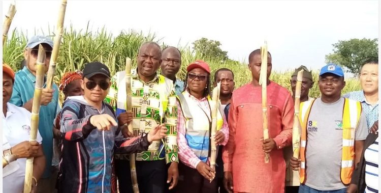 Chinese investors to build sugar factory in Ghana