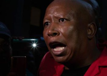 SA opposition vows to ‘protect’ Putin from ICC arrest