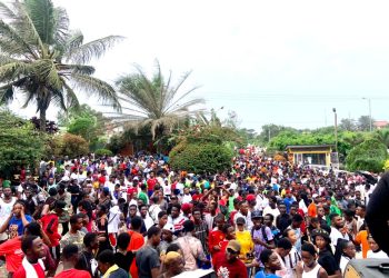 Net 36 Vista ‘Walk For Life’ draws massive crowd