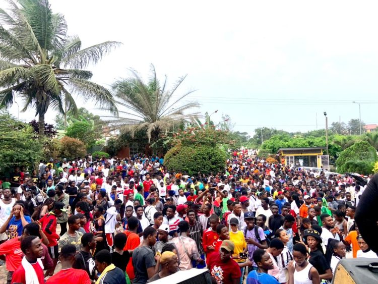 Net 36 Vista ‘Walk For Life’ draws massive crowd