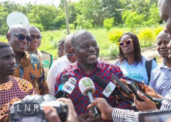 Over 72% Green Ghana seedlings survived – Benito Owusu-Bio