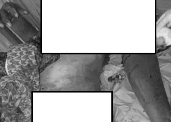 E/R: Boy, 22, butchers stepmom over marriage with father at Akyem-Ntronang