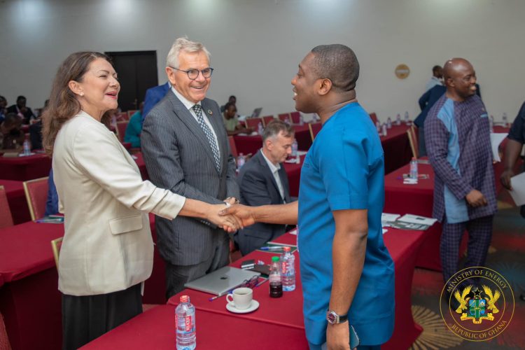 Government committed to 741.3MW of Solar Energy by 2030 – Deputy Energy Minister