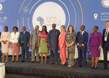 Ursula Owusu-Ekuful joins Network of Women in ICT in Zimbabwe