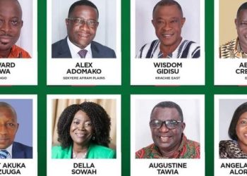 17 NDC MPs fall at 2023 Primaries