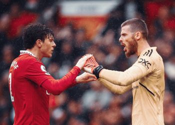 EPL: De Gea error proves costly as Man Utd beaten costly bu excellent West Ham