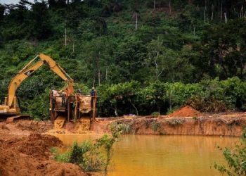 Ghana loses 34 out of 288 forest reserves to ‘galamsey’ and logging activities – Forestry Commission CEO