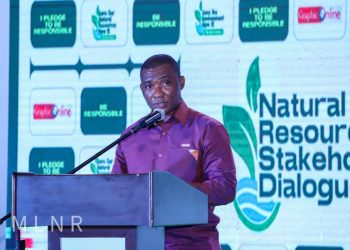 Collective responsibility required in fighting illegalities in mining sector – Mireku Duker