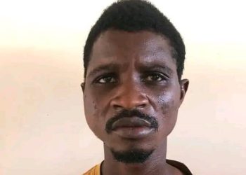 Electrician jailed 12 years for theft