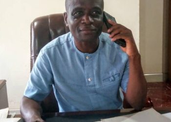 Ahafo Ano South-West District Assembly plants trees on mining sites