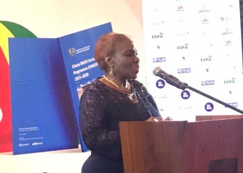 Primary school children to learn sanitation as subject – Sanitation Minister