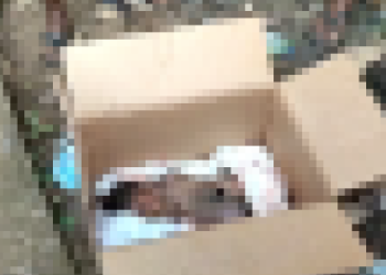 Lifeless newborn baby found at dumping site near Tesano Cluster of Schools