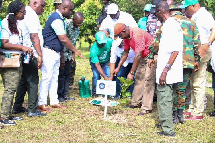 A/R: Otumfuo Osei Tutu II plants third commemorative tree as 2023 Green Ghana Day kicks off