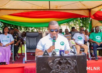 Dep. Lands Minister calls for responsible mining practices to restore Ghana’s vegetative cover