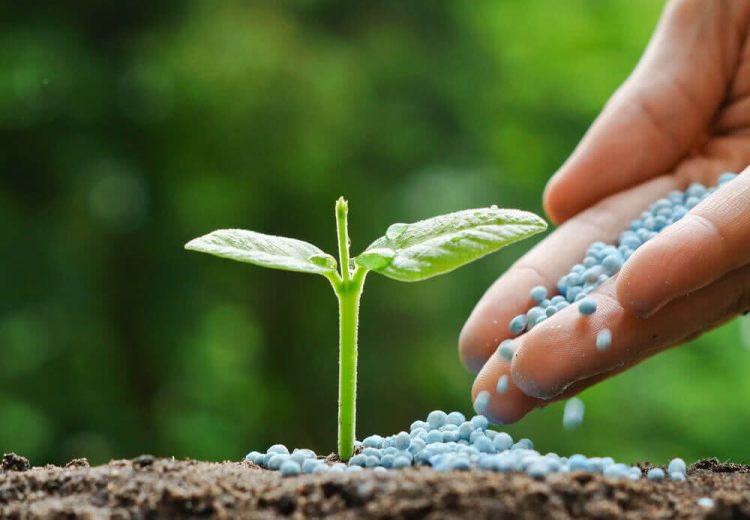 GIRSAL proposes credit guarantee for fertiliser subsidy programmes