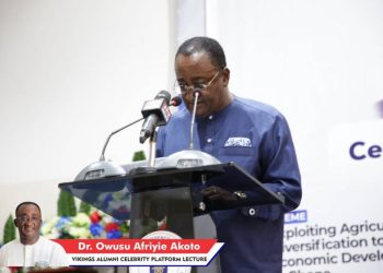 Ghana needs a new business model to diversify – Afriyie Akoto