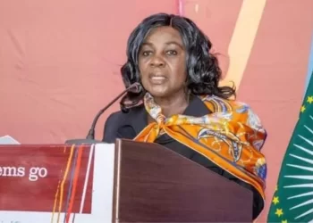 Cecilia Abena Dapaah reported a robbery. Why was she arrested?