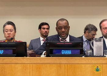 Support developing countries meet their Net-Zero targets – Energy Minister to Developed Countries