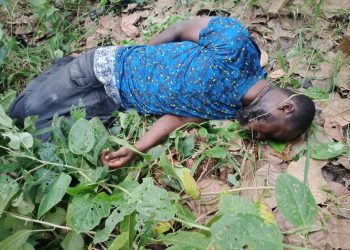 Bono Region: Man found dead at Domasua