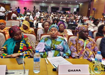 Let’s adopt multi-faceted approach to help survivors of FGM – Gender Minister
